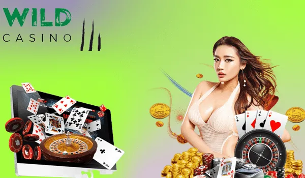 Pros & Cons To Play In Wild Casino Platform